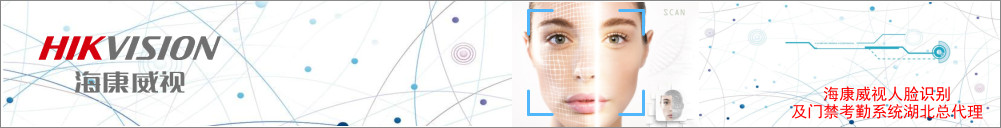 ?？低曢T禁系統(tǒng)