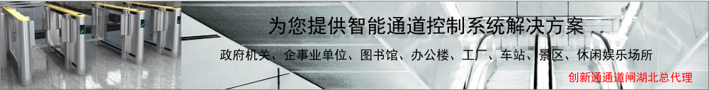 武漢速通擺閘